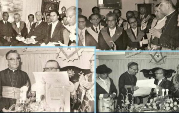 Macaque in the trees