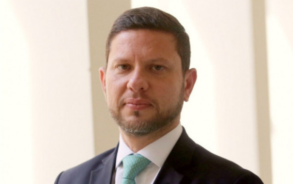 Macaque in the trees