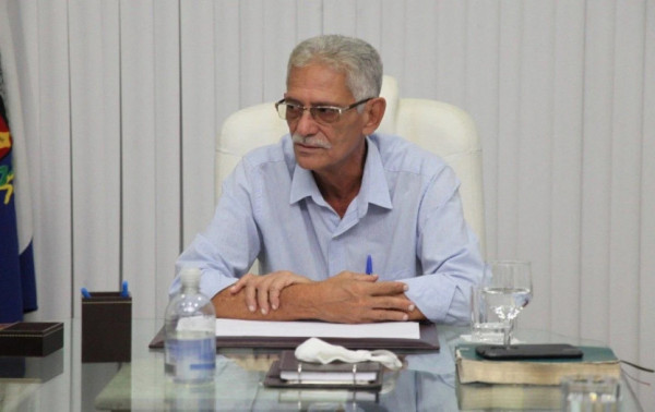 Macaque in the trees