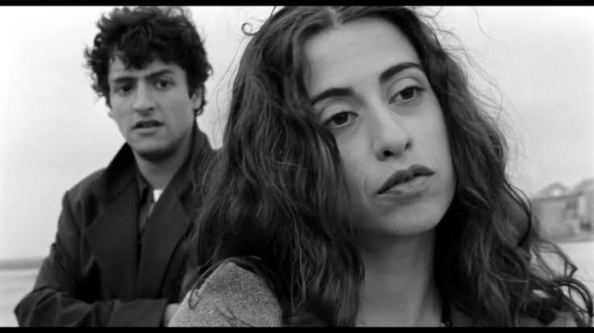 Macaque in the trees