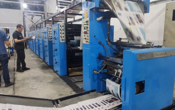 Macaque in the trees