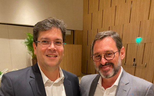 Macaque in the trees