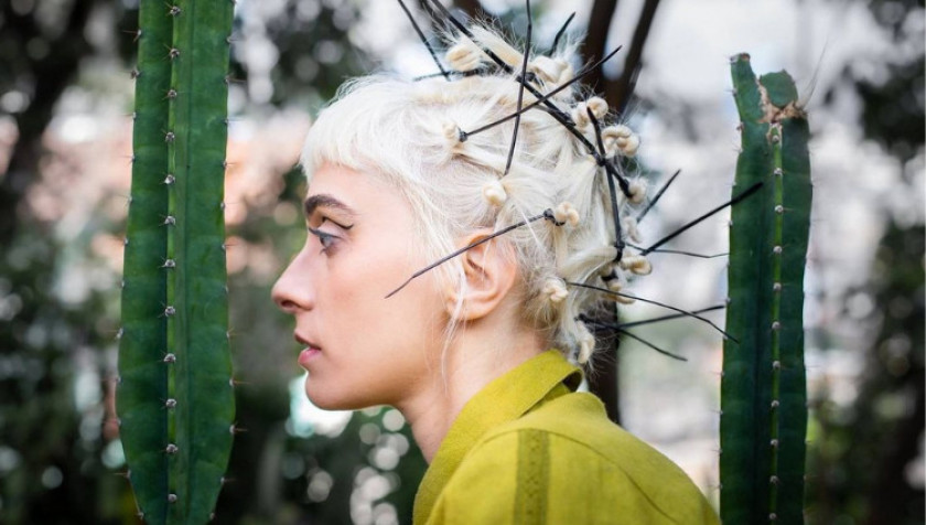 Macaque in the trees