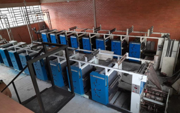 Macaque in the trees