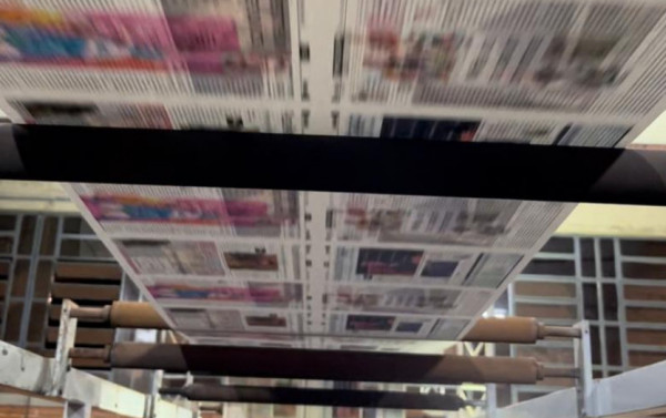 Macaque in the trees