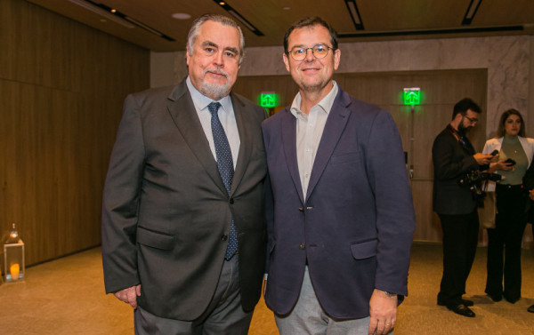 Macaque in the trees