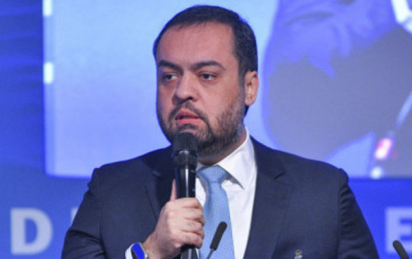 Macaque in the trees