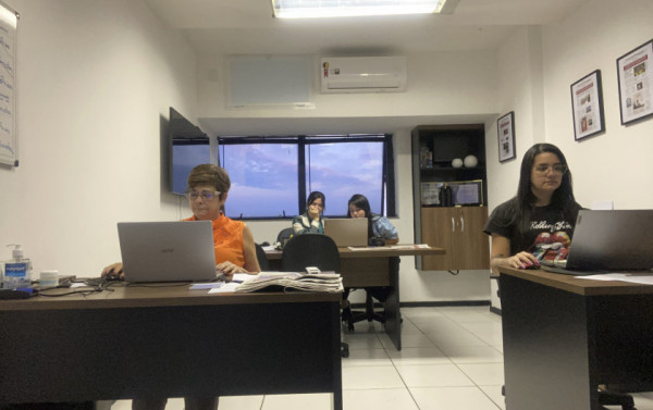 Macaque in the trees