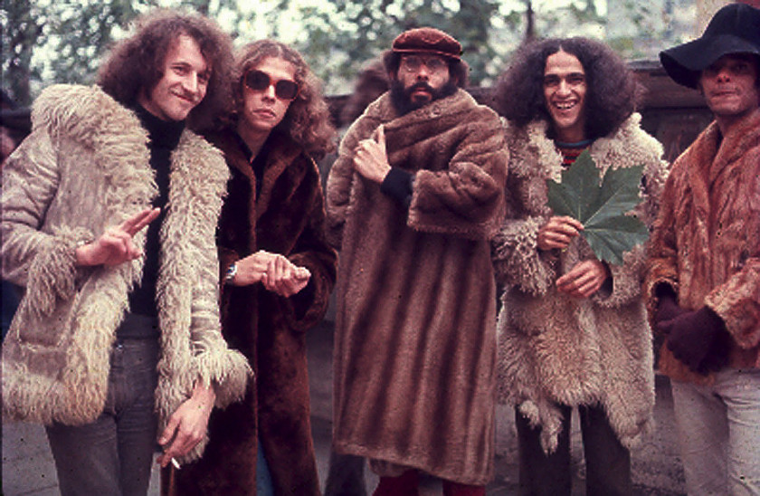 Macaque in the trees