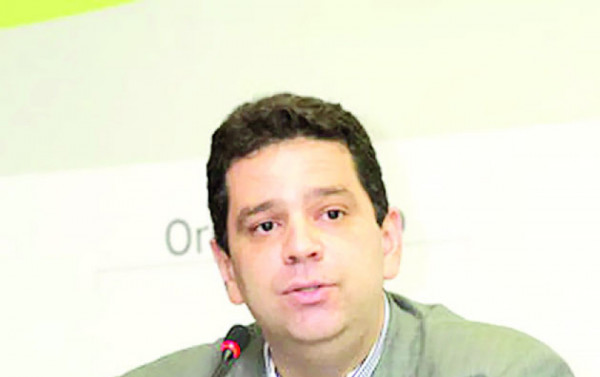 Macaque in the trees