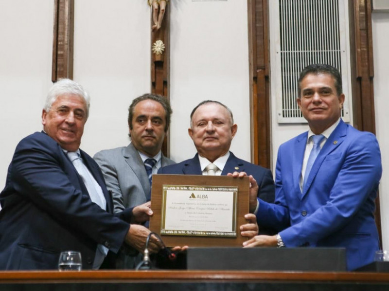 Macaque in the trees