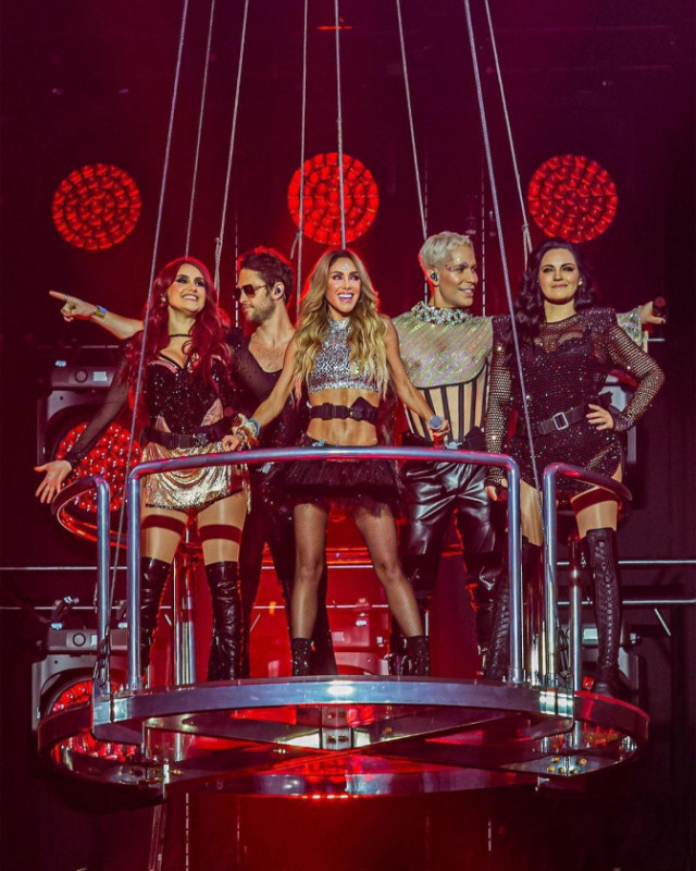 Macaque in the trees