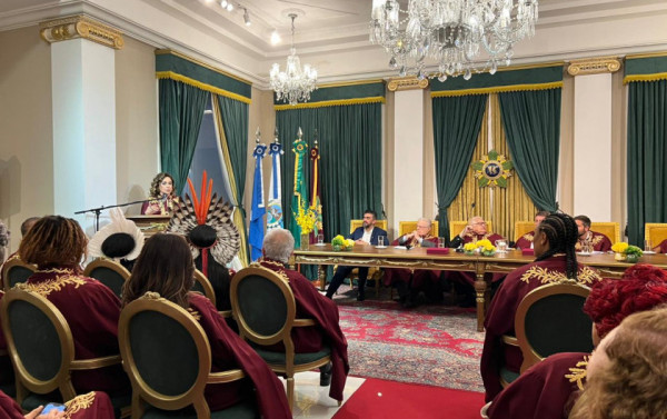 Macaque in the trees