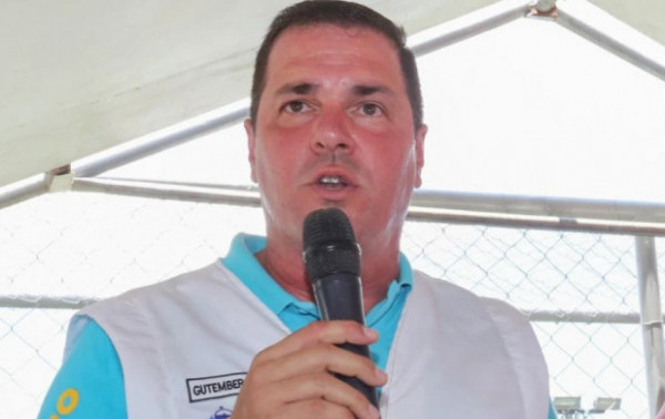 Macaque in the trees