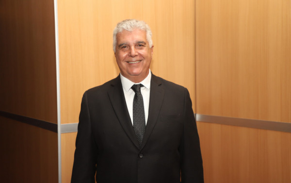 Macaque in the trees