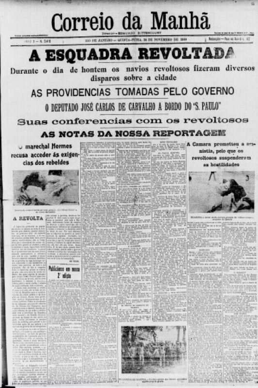 Macaque in the trees