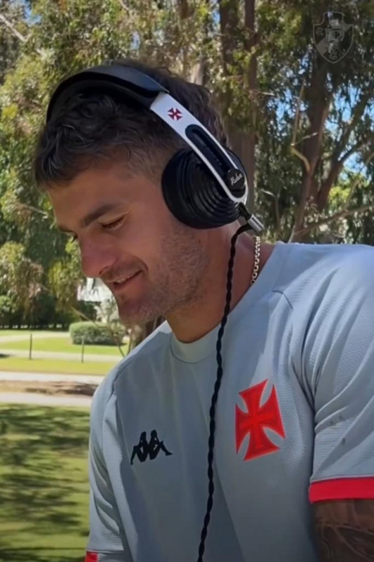 Macaque in the trees