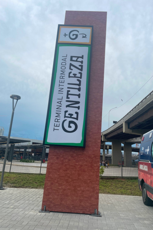 Macaque in the trees