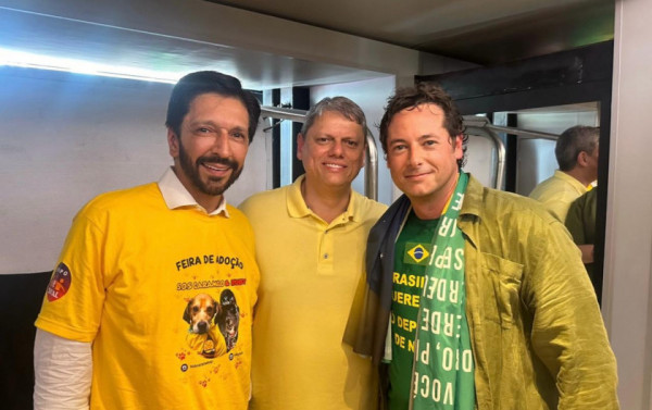 Macaque in the trees