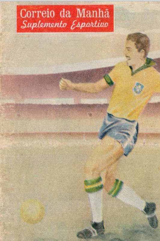 Macaque in the trees