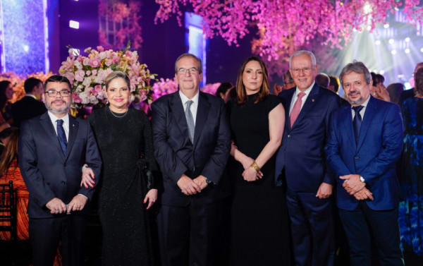 Macaque in the trees