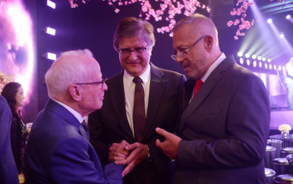 Macaque in the trees