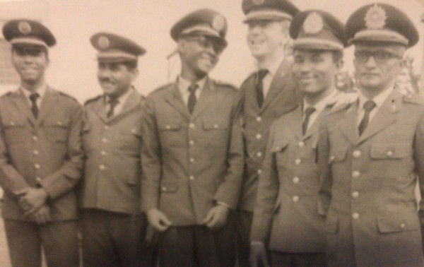 Macaque in the trees