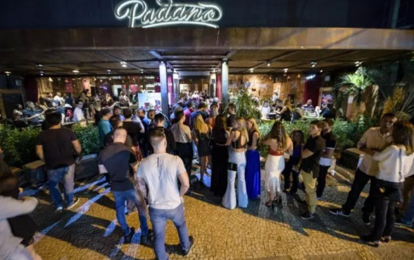 Macaque in the trees