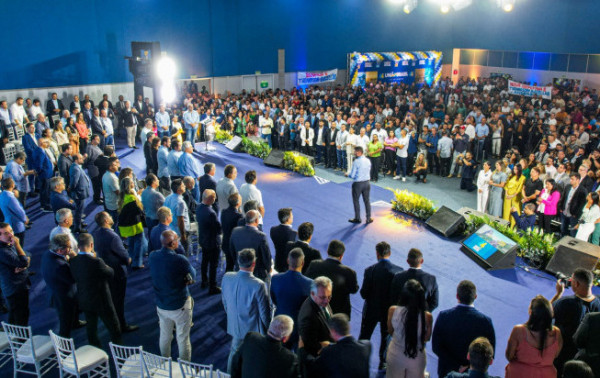 Macaque in the trees