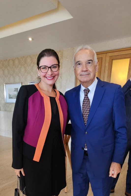 Macaque in the trees