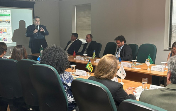 Macaque in the trees