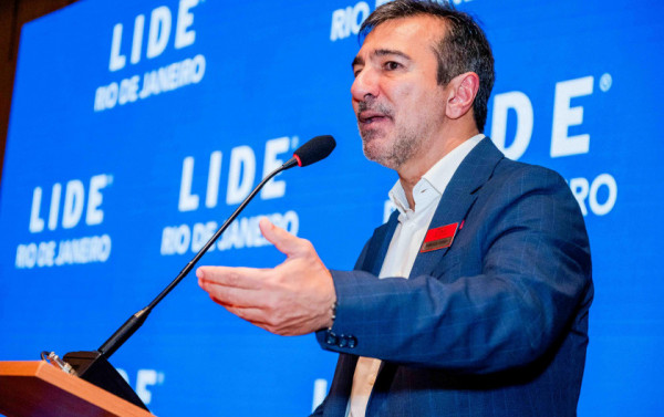 Macaque in the trees