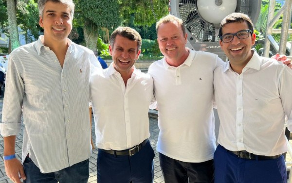 Macaque in the trees