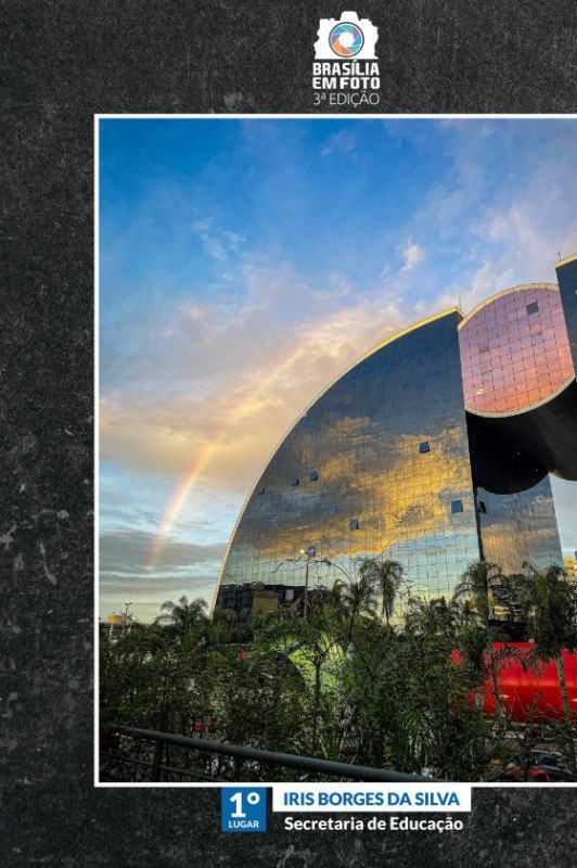 Macaque in the trees