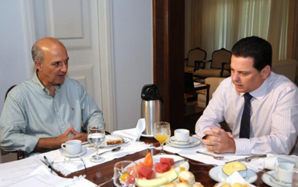 Macaque in the trees