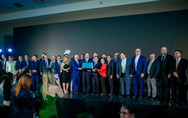 Macaque in the trees