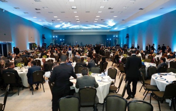 Macaque in the trees