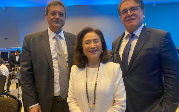 Macaque in the trees