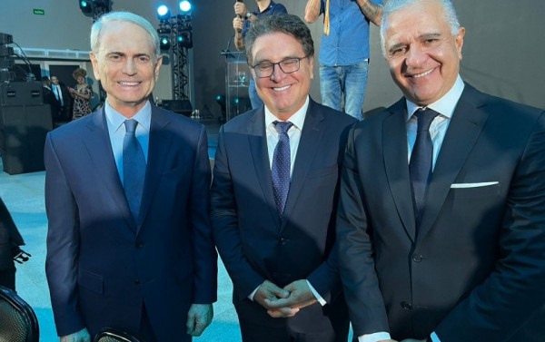 Macaque in the trees