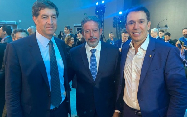 Macaque in the trees