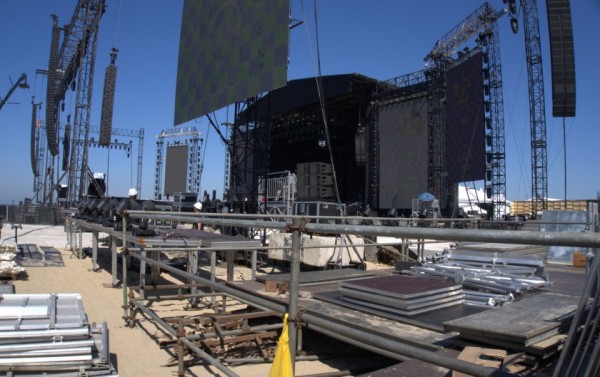 Macaque in the trees