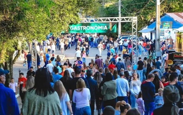 Macaque in the trees
