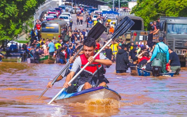 Macaque in the trees