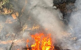 Senasp abre 225 vagas para cursos de especializa&ccedil;&atilde;o