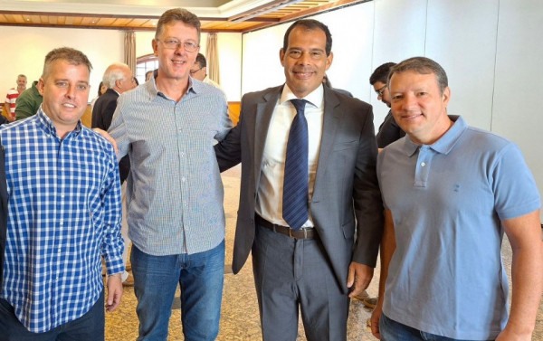 Macaque in the trees