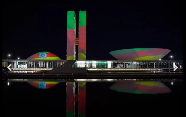 Macaque in the trees