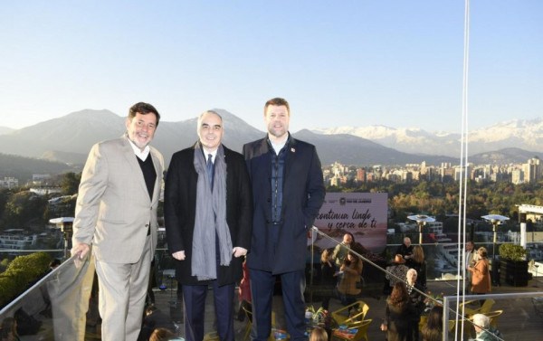 Macaque in the trees