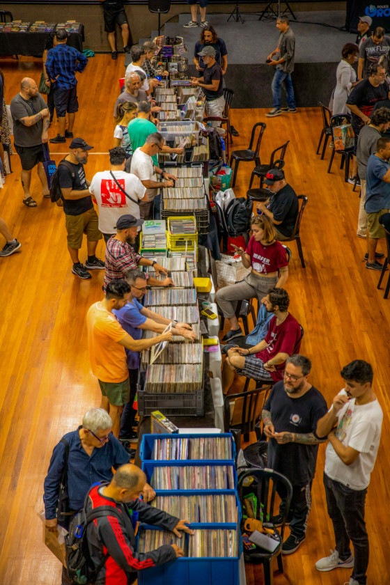 Macaque in the trees