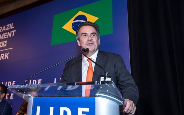 Macaque in the trees