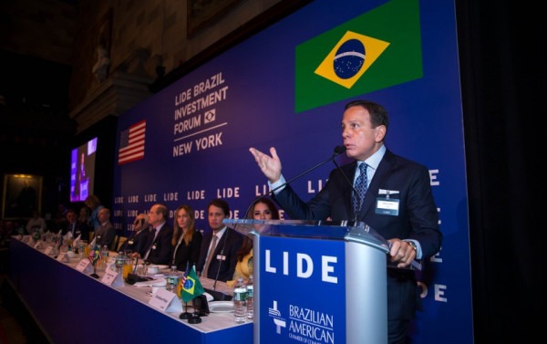 Macaque in the trees